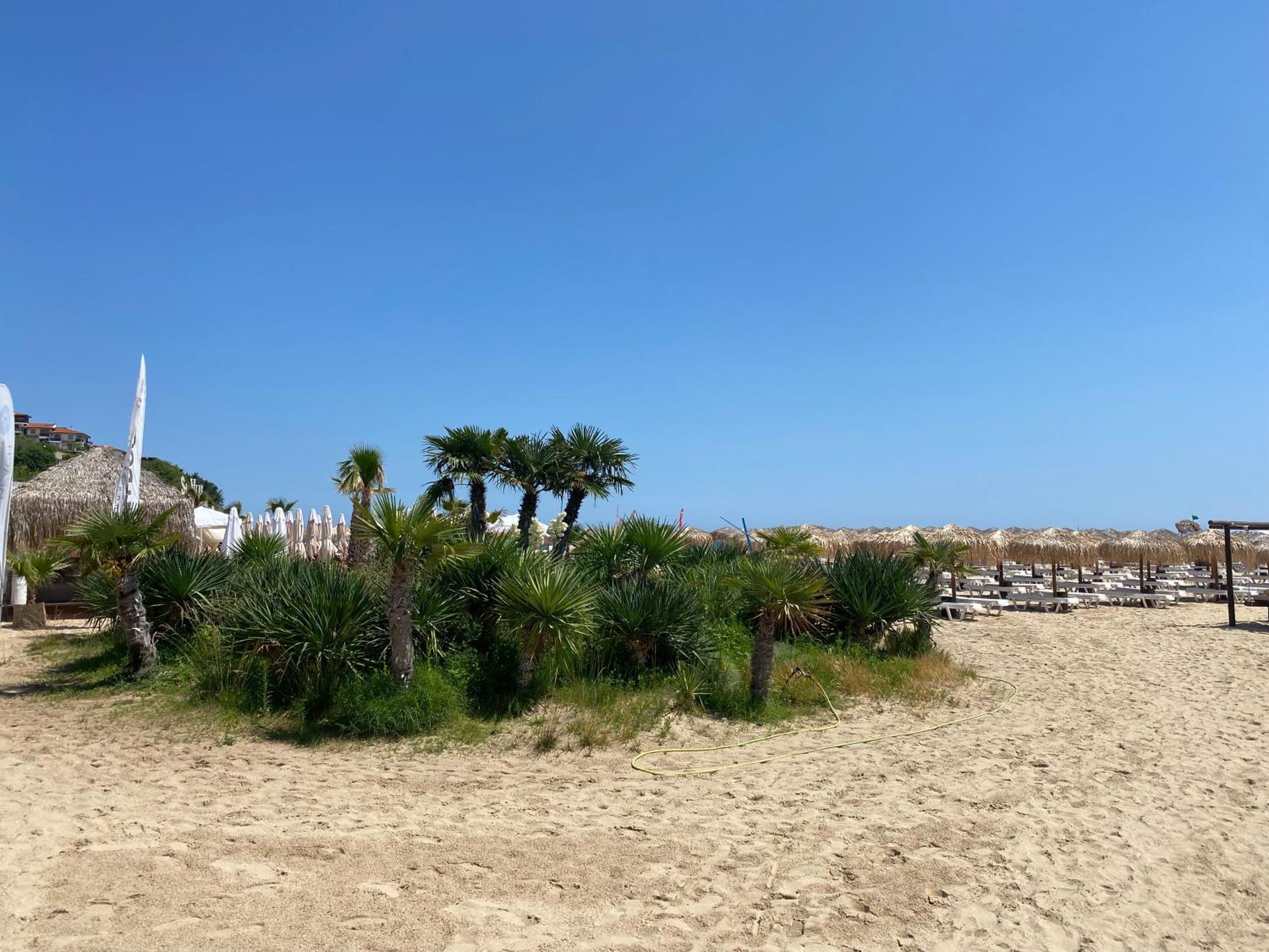 Vodenicata 7 Apartment Sveti Vlas Bagian luar foto